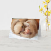 Sloth Greeting Card Karte (Gelbe Blume)