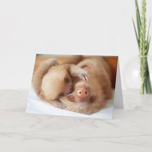 Sloth Greeting Card Karte (Vorderseite)