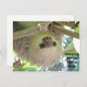 Sloth Hanging Around in Costa Rica Postkarte (Vorne/Hinten)