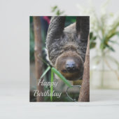 Sloth Hanging Out Edinburgh Zoo Karte (Stehend Vorderseite)