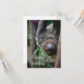 Sloth Hanging Out Edinburgh Zoo Karte (Vorderseite/Rückseite Beispiel)