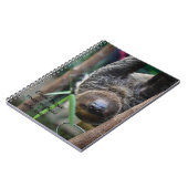 Sloth Hangout Edinburgh Zoo Card Notizblock (Linke Seite)