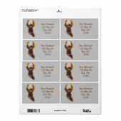 Sloth Hangout Thunder_Cove (Vorne)