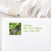 Sloth in Tree (Insitu)