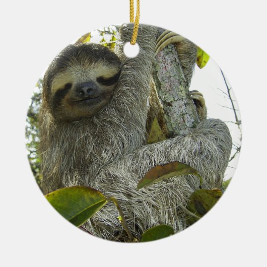 Sloth Keramik Ornament (Vorne)