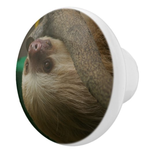 Sloth Keramikknauf (Rechts)