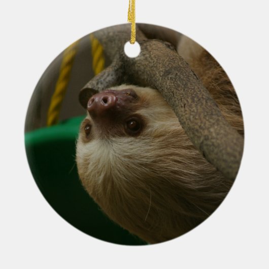 Sloth Keramikornament (Hinten)