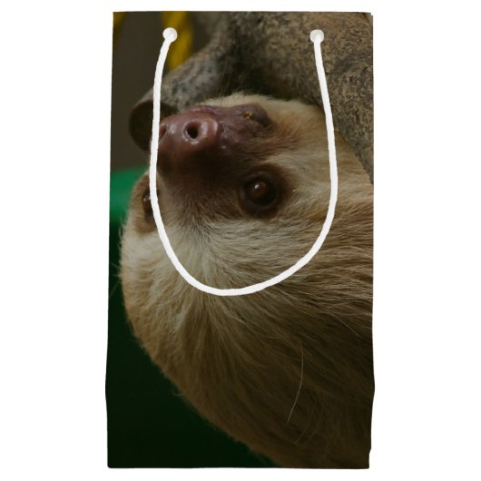 Sloth Kleine Geschenktüte (Vorderseite)