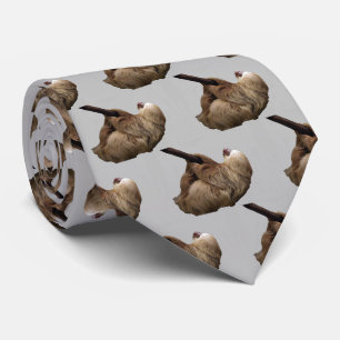 Sloth Krawatte