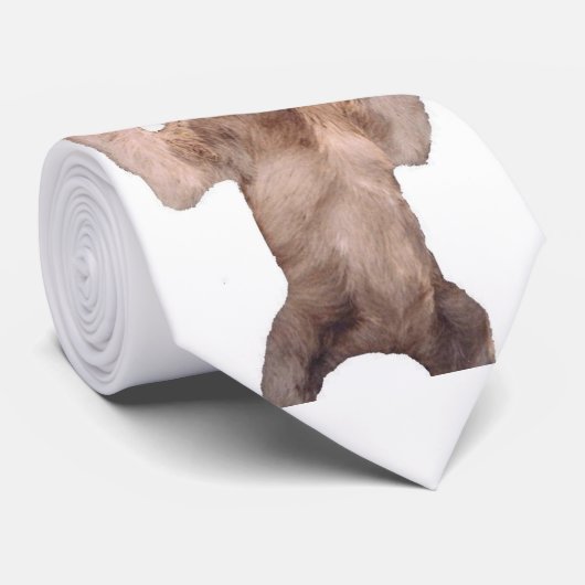 Sloth-Krawatte Krawatte (Gerollt)