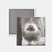 Sloth Magnet (Vorderseite/Rückseite)