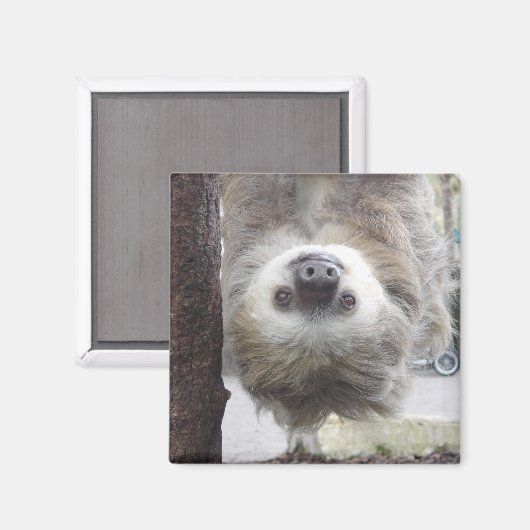 Sloth Magnet (Vorderseite/Rückseite)