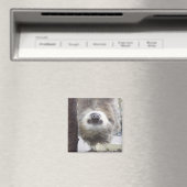 Sloth Magnet (In Situ (Geschirrspüler))