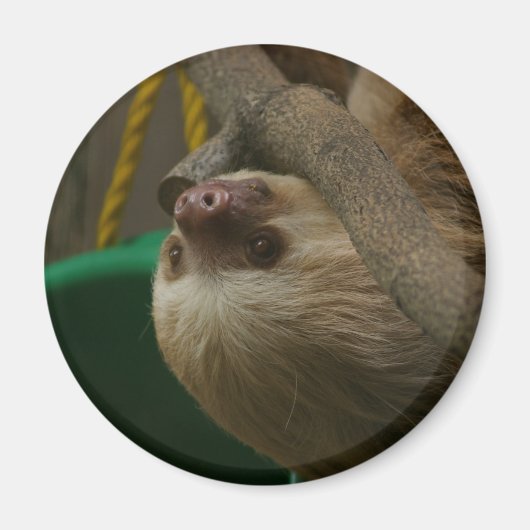 Sloth Magnet (Vorne)