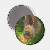 Sloth Magnet (Vorderseite/Rückseite)
