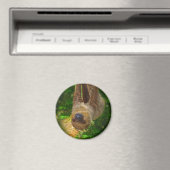 Sloth Magnet (In Situ (Geschirrspüler))