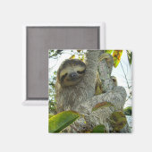 Sloth Magnet (Vorderseite/Rückseite)