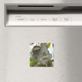 Sloth Magnet (In Situ (Geschirrspüler))