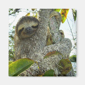 Sloth Magnet (Vorne)