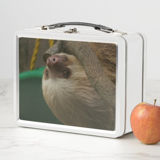 Sloth Metall Brotdose (Beispiel)