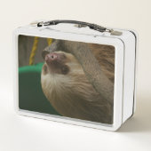 Sloth Metall Brotdose (Rückseite)