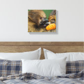 Sloth mit Pumpkin Leinwanddruck (Insitu (Schlafzimmer))