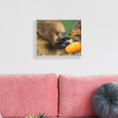 Sloth mit Pumpkin Leinwanddruck (Insitu (Wohnzimmer))