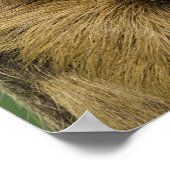 Sloth mit Pumpkin Poster (Ecke)