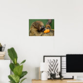 Sloth mit Pumpkin Poster (Heimbüro)