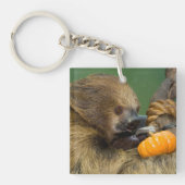 Sloth mit Pumpkin Schlüsselanhänger (Vorderseite)