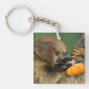 Sloth mit Pumpkin Schlüsselanhänger