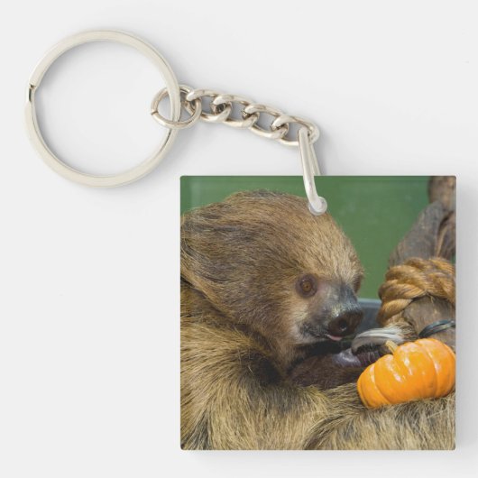 Sloth mit Pumpkin Schlüsselanhänger (Vorderseite)