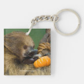 Sloth mit Pumpkin Schlüsselanhänger (Rückseite)