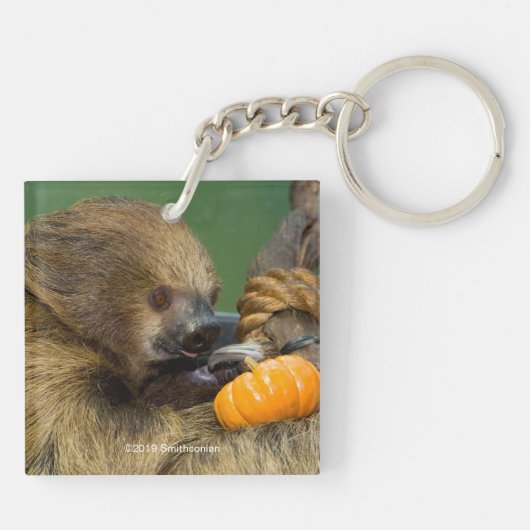 Sloth mit Pumpkin Schlüsselanhänger (Rückseite)