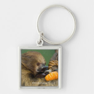 Sloth mit Pumpkin Schlüsselanhänger