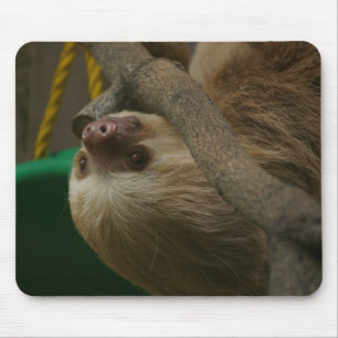 Sloth Mousepad