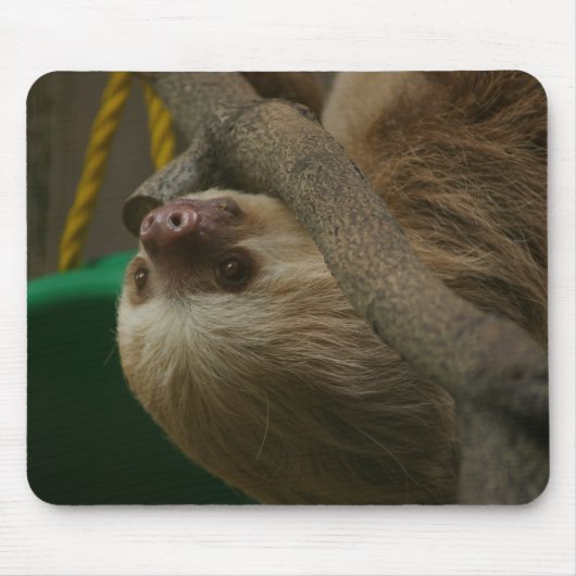 Sloth Mousepad (Vorne)