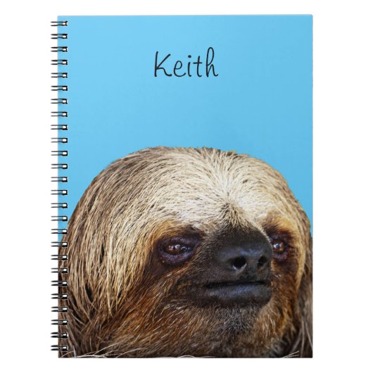Sloth Notizblock (Vorderseite)