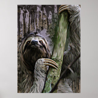 Sloth Paintings Poster