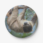 Sloth-PapierTeller Pappteller (Vorderseite)