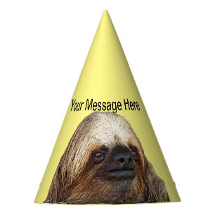 Sloth Partyhütchen