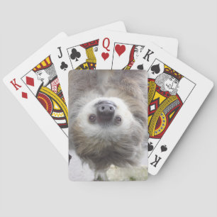 Sloth Playing Cards Spielkarten