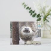 Sloth Postcard Postkarte (Stehend Vorderseite)