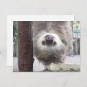 Sloth Postcard Postkarte (Vorne/Hinten)