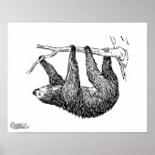 Sloth Poster (Vorne)