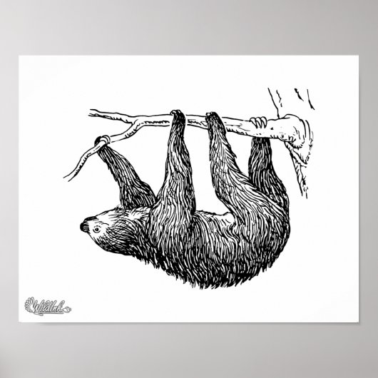 Sloth Poster (Vorne)