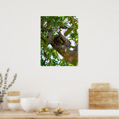 Sloth Poster (Küche)