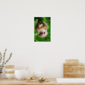 Sloth Poster (Küche)