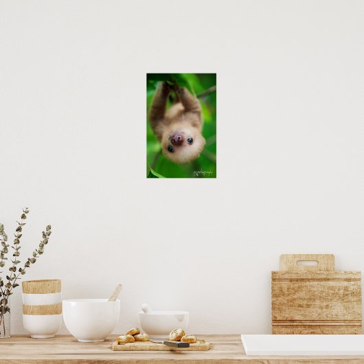 Sloth Poster (Küche)