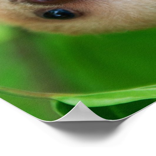 Sloth Poster (Ecke)